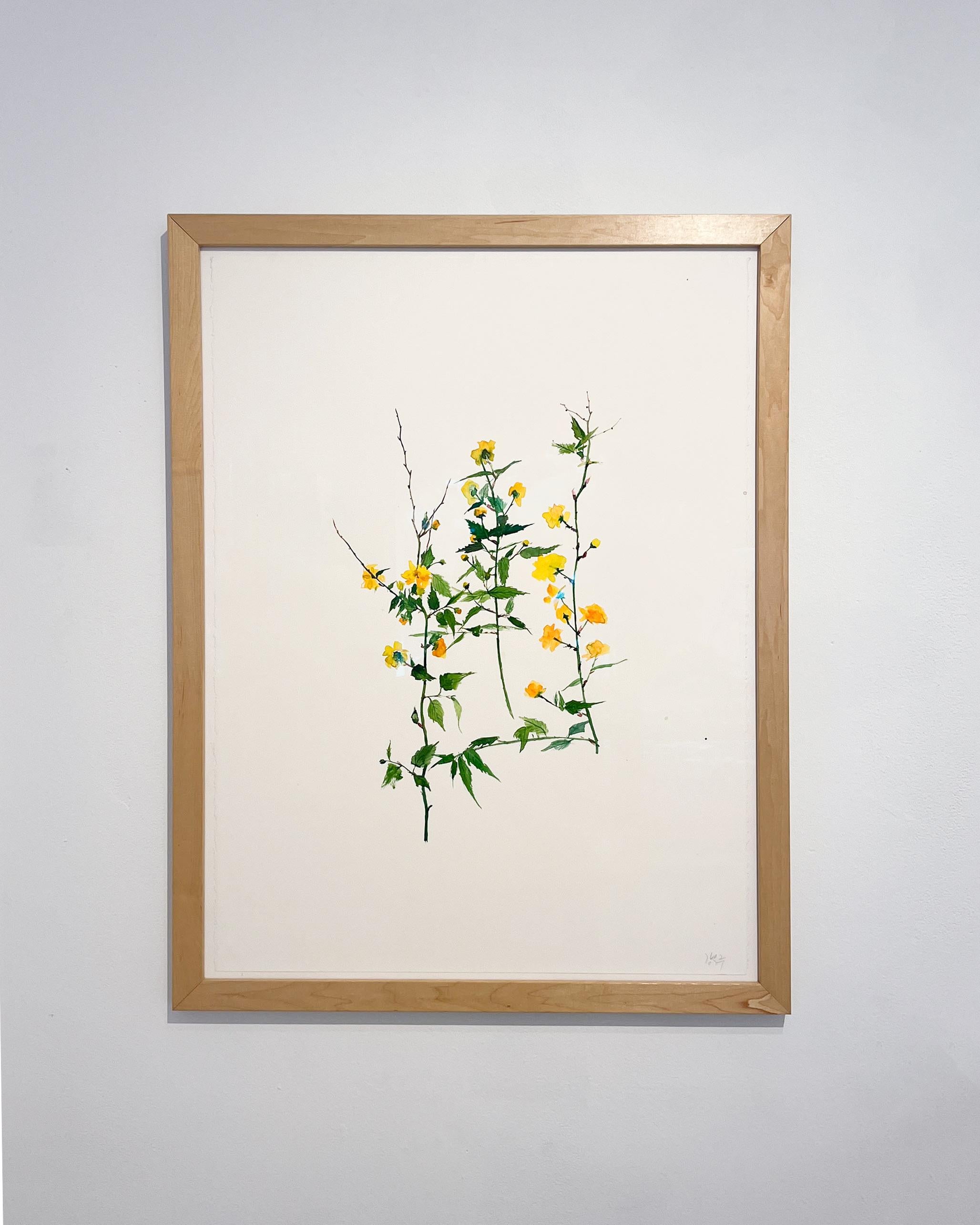 Gelbe Blüte (Blume, Stillleben, Aquarell, leuchtende Farben, Blumen) im Angebot 1