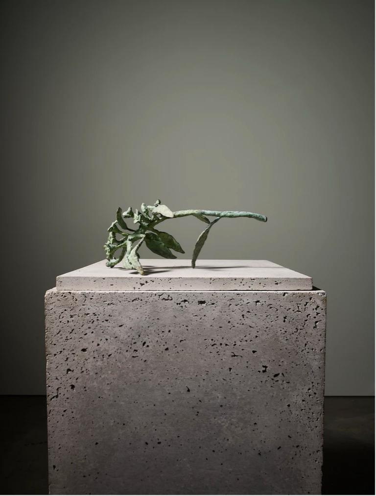 Dutch Euphorbia Sculpture 02 by Herma de Wit
