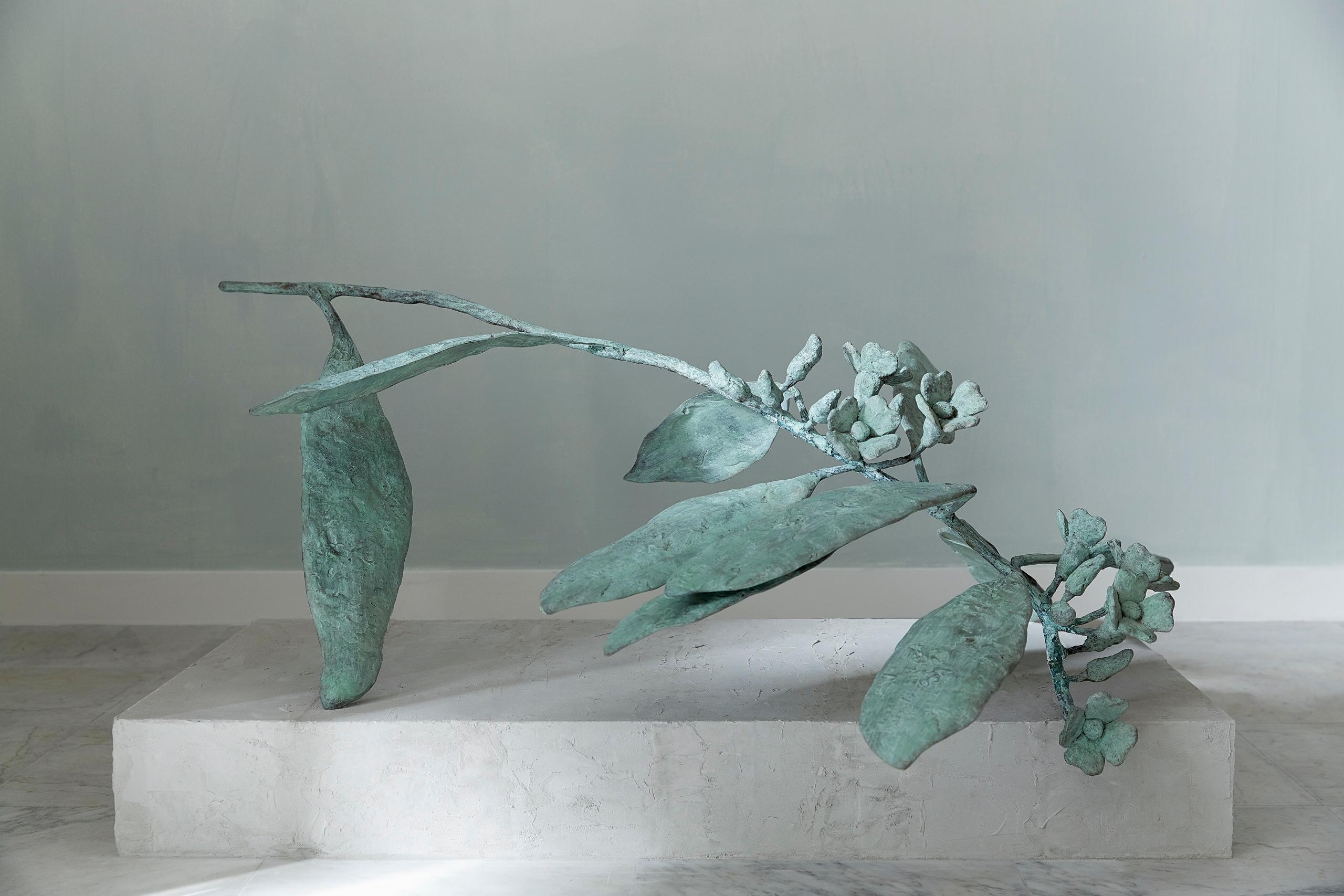 Euphorbia Sculpture 02 by Herma de Wit In New Condition In Geneve, CH