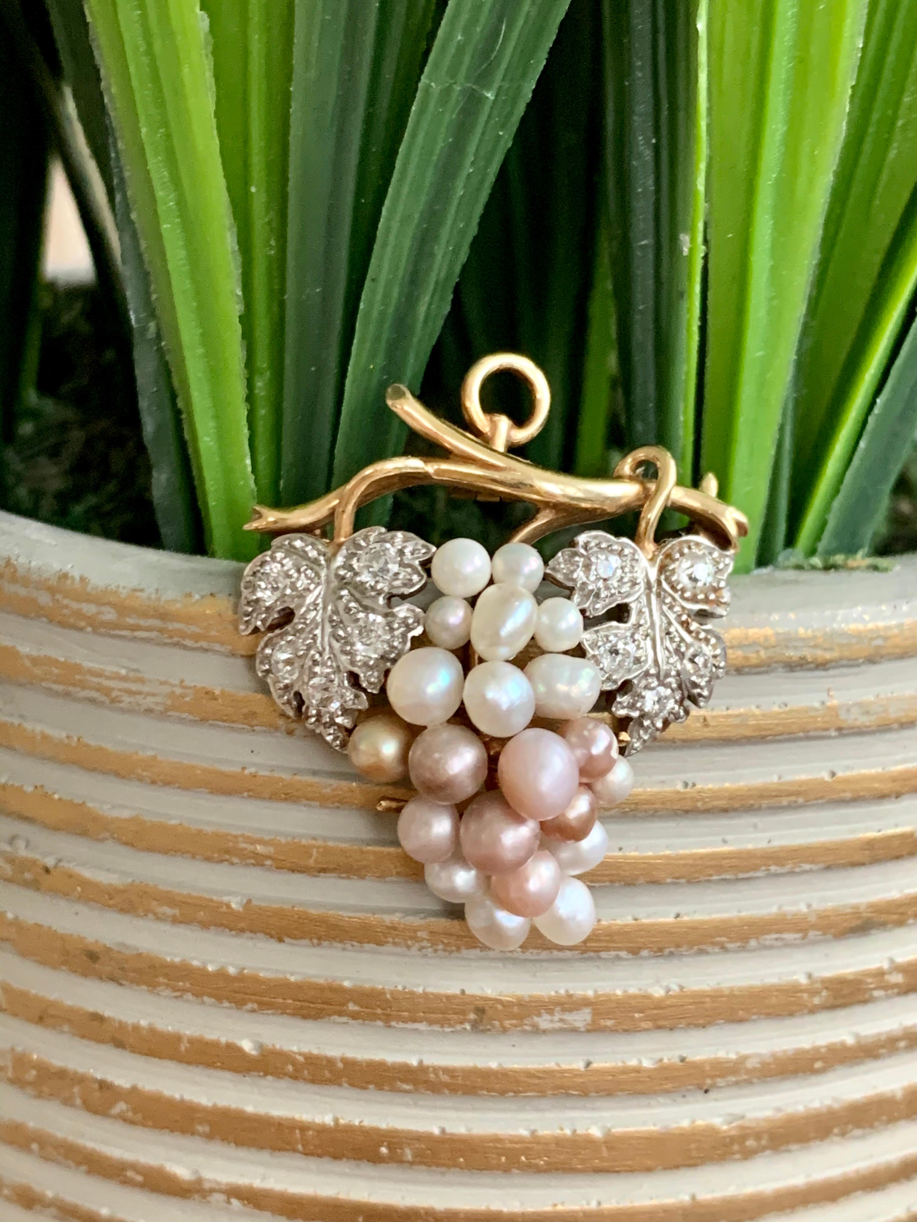 This lovely vintage brooch can also be worn as a pendant.  It's designed to look like a cluster of grapes.  It features 21 Pearls and several Euro cut Diamonds. 

The setting is 4 karat Yellow Gold.

Weight: 7 grams
The chain is shown, is for