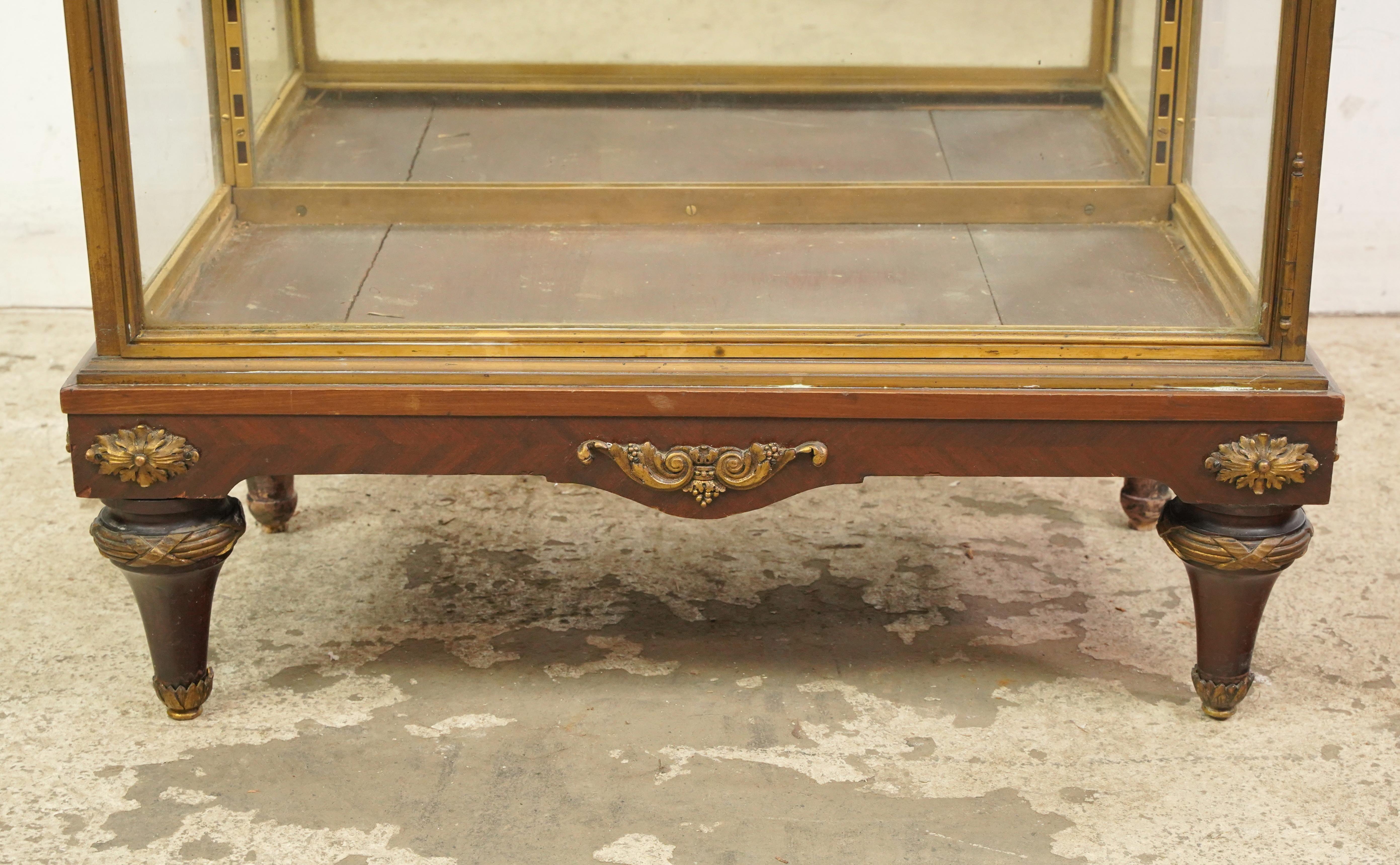 La vetrina presenta un'anta e dei lati in vetro trasparente, un retro a specchio e una semplice maniglia ad anello in metallo. Il fondo della teca ha una base in legno scuro con un'applicazione decorativa in metallo dorato e gambe ricurve. La