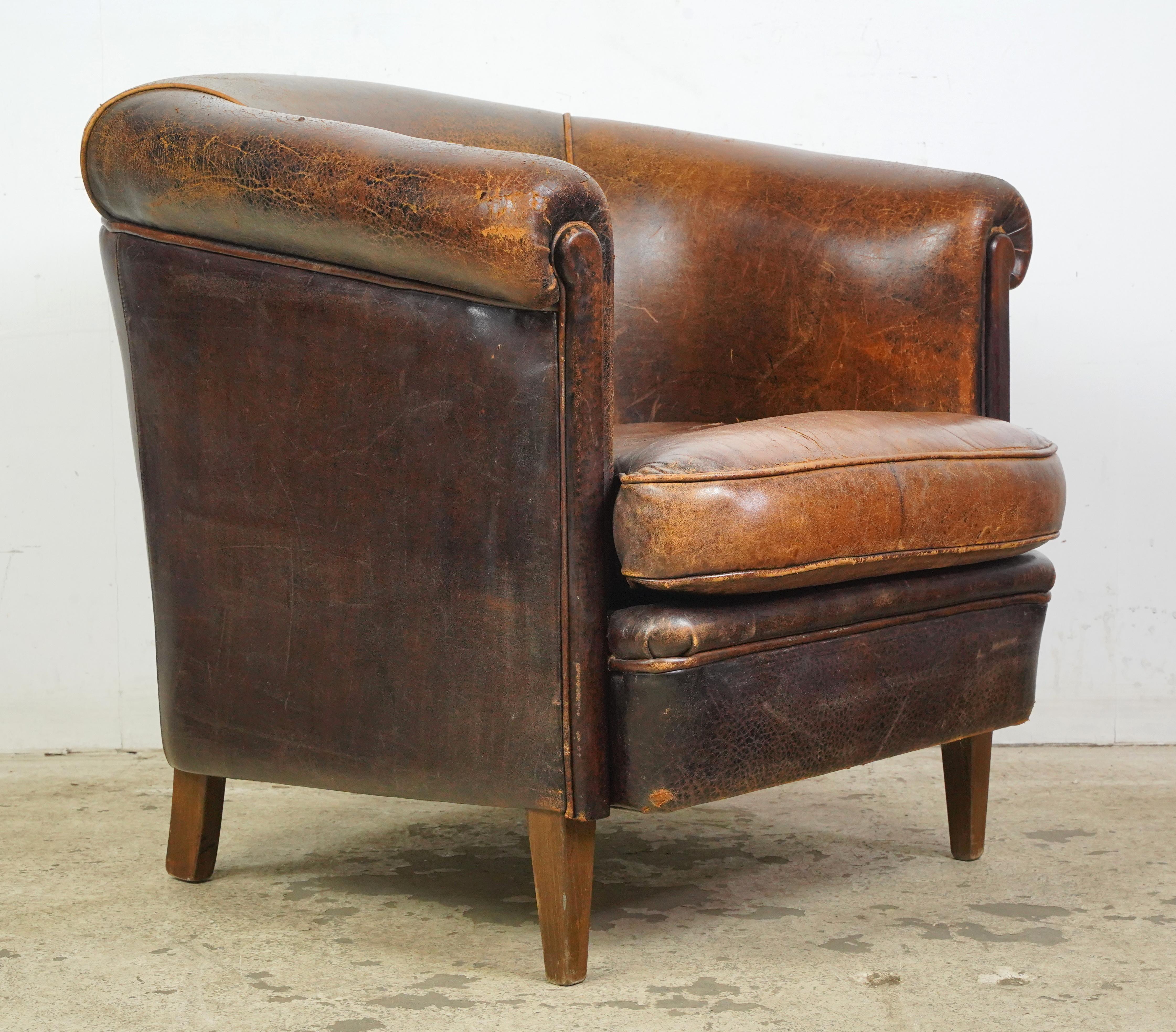 Steel European Brown Barrel Leather Club Chair For Sale