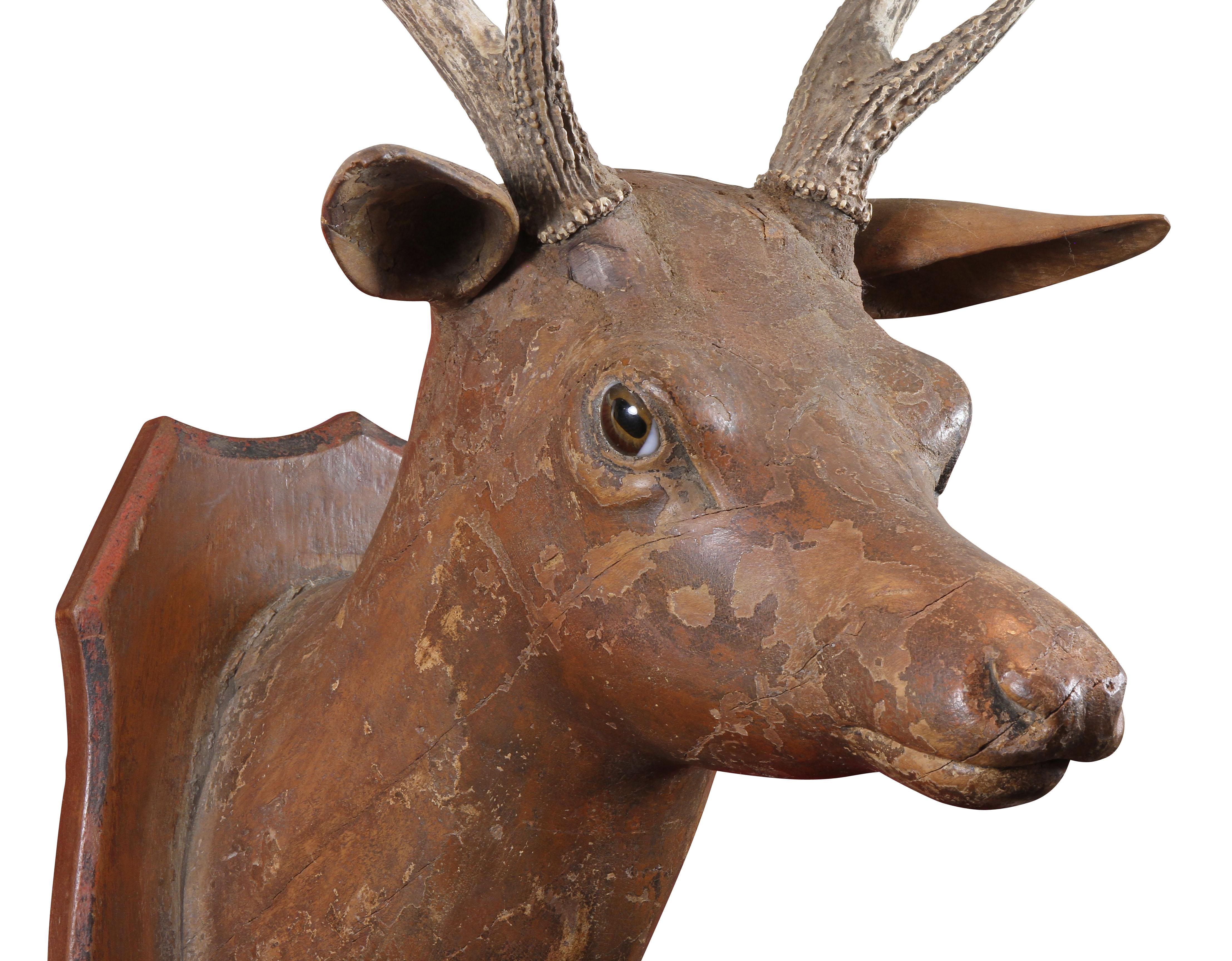 With a pair of mounted antlers, the deer with glass eyes and carved ears. Painted in distressed brown paint. Shield shape wood back.