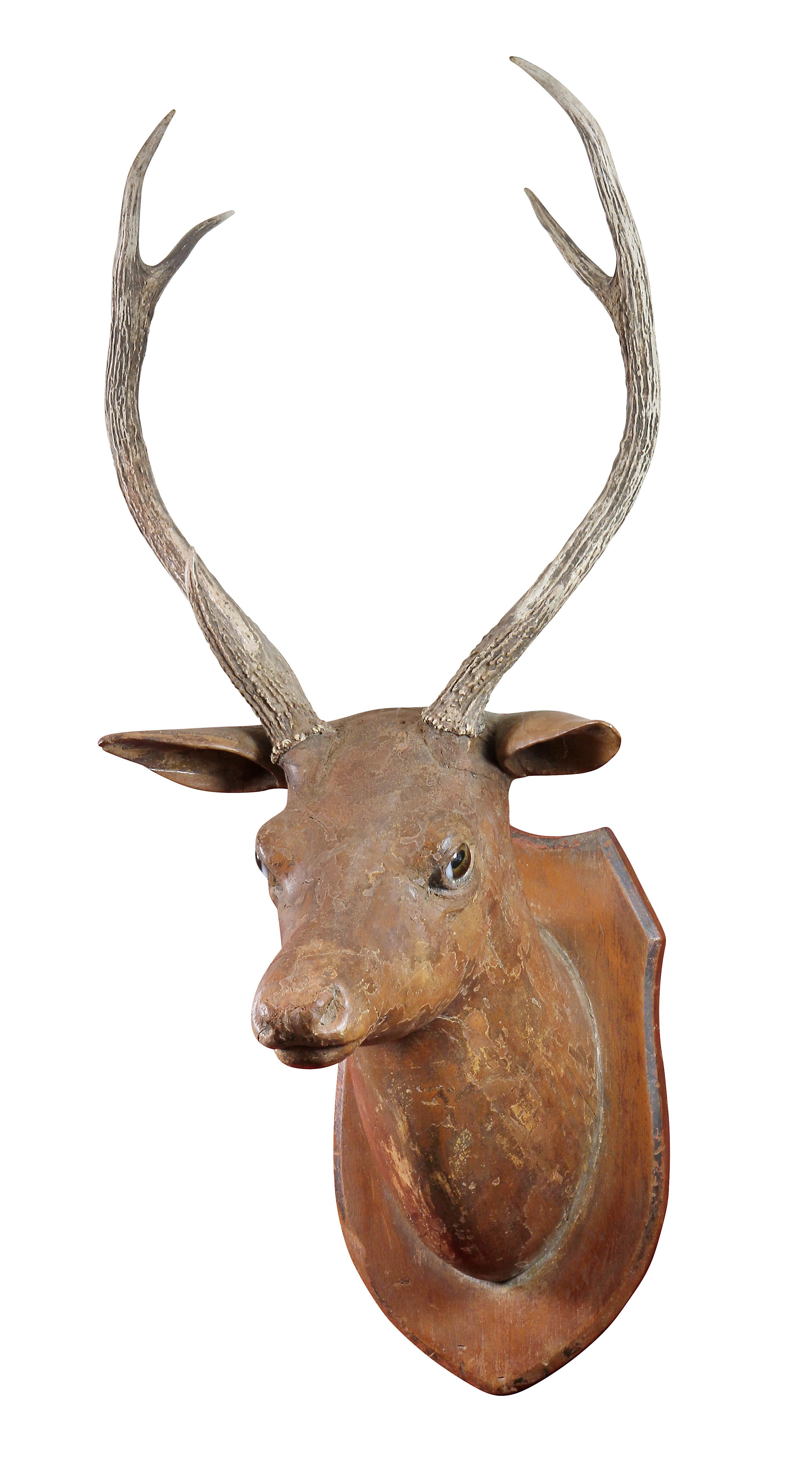 wooden deer head wall mount