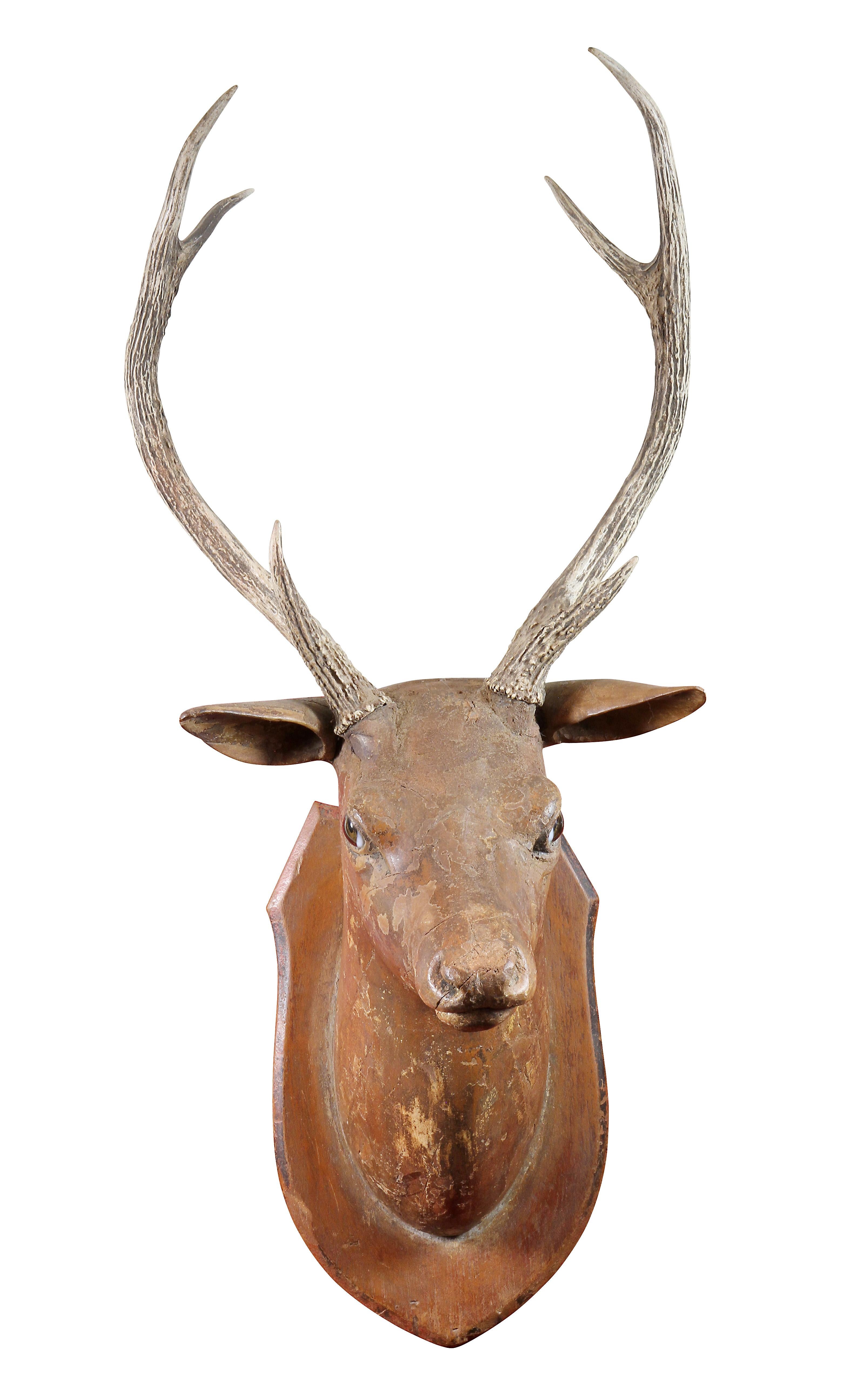 wooden animal head wall mount