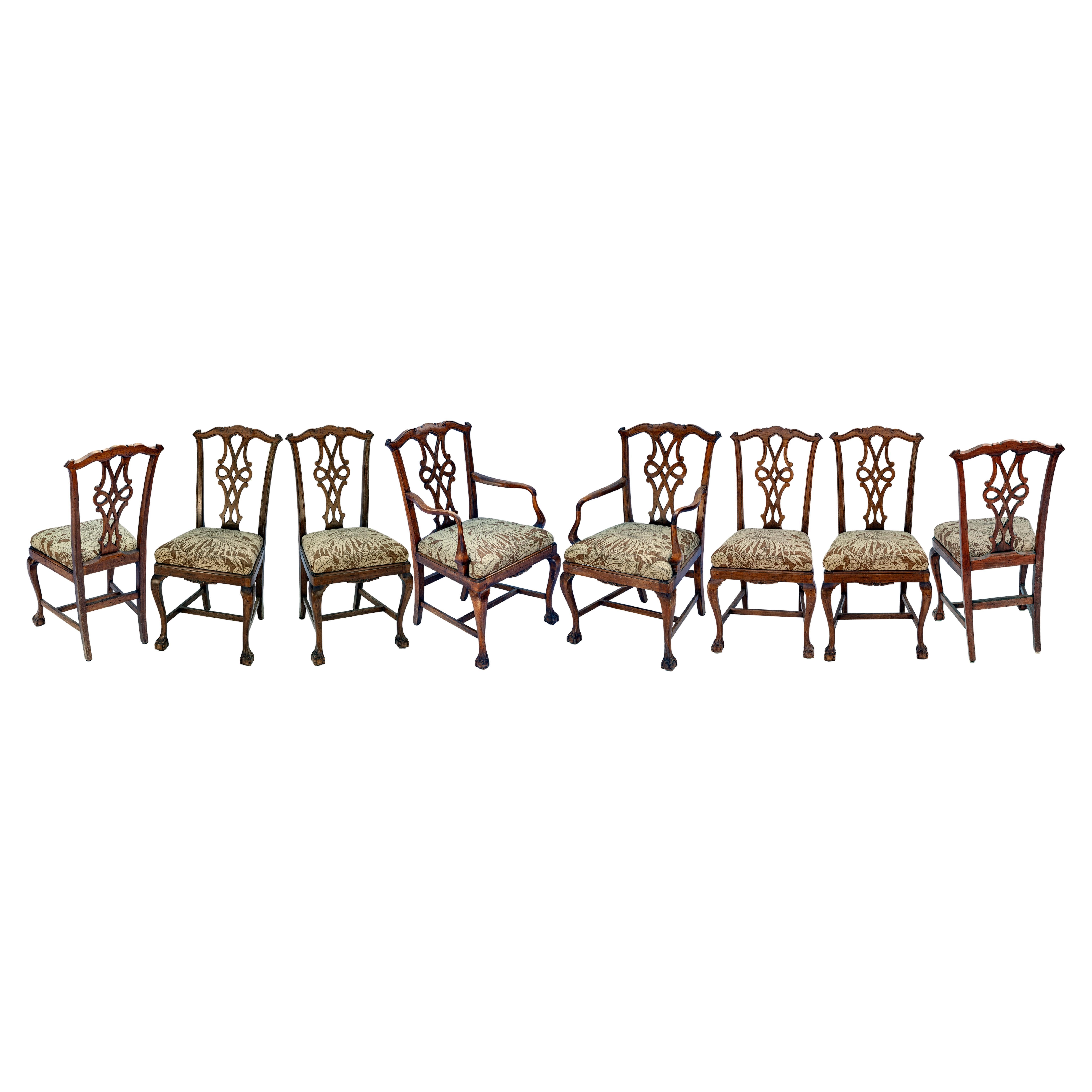 Sedie da sala da pranzo in stile Chippendale europeo; set / 8