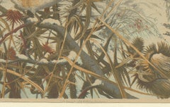 European Goldfinches in Winter: An 1879 Lithograph