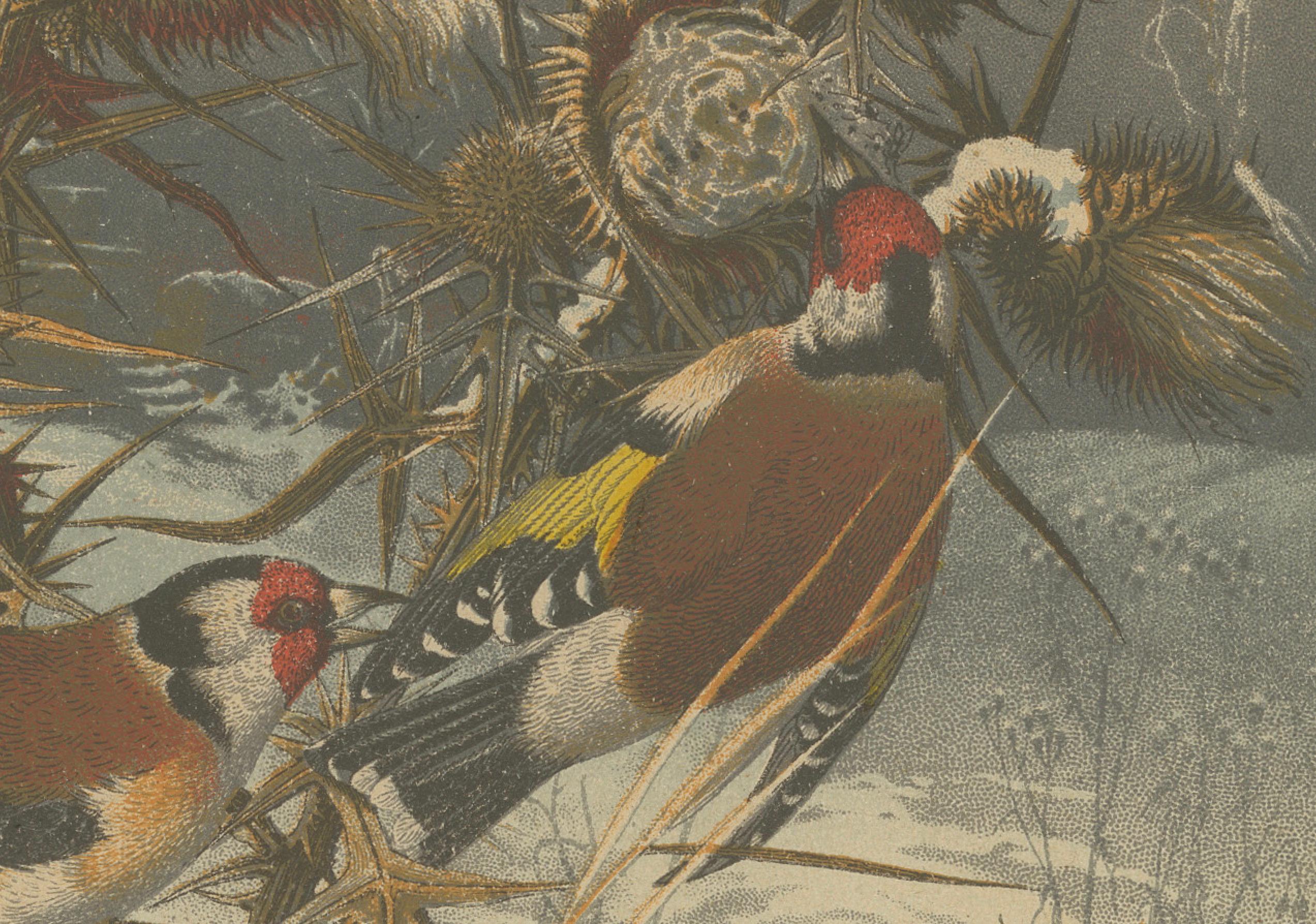 Finitions européennes en hiver : une lithographie de 1879 Bon état - En vente à Langweer, NL