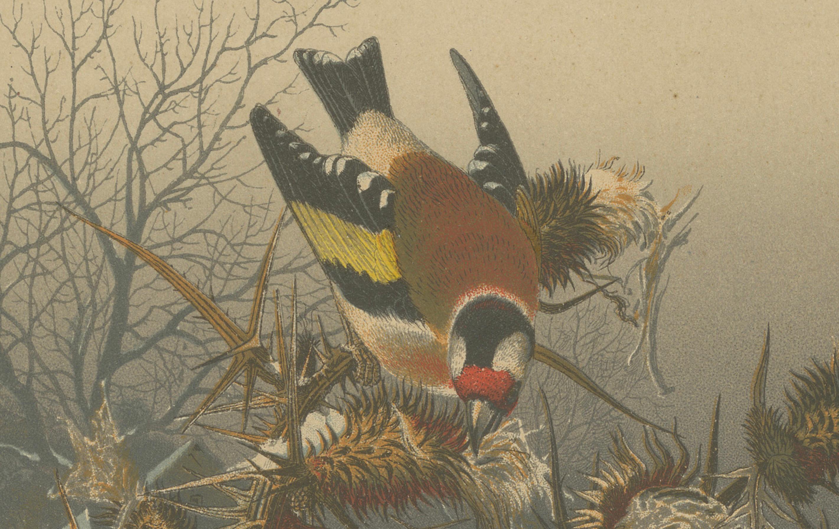 Papier Finitions européennes en hiver : une lithographie de 1879 en vente