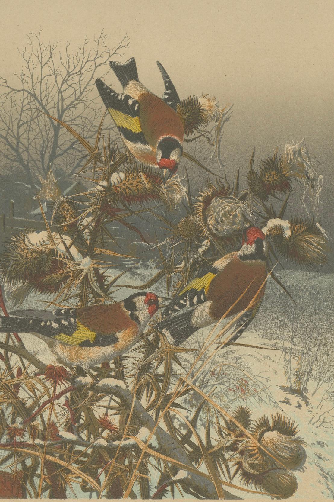 Finitions européennes en hiver : une lithographie de 1879 en vente 1