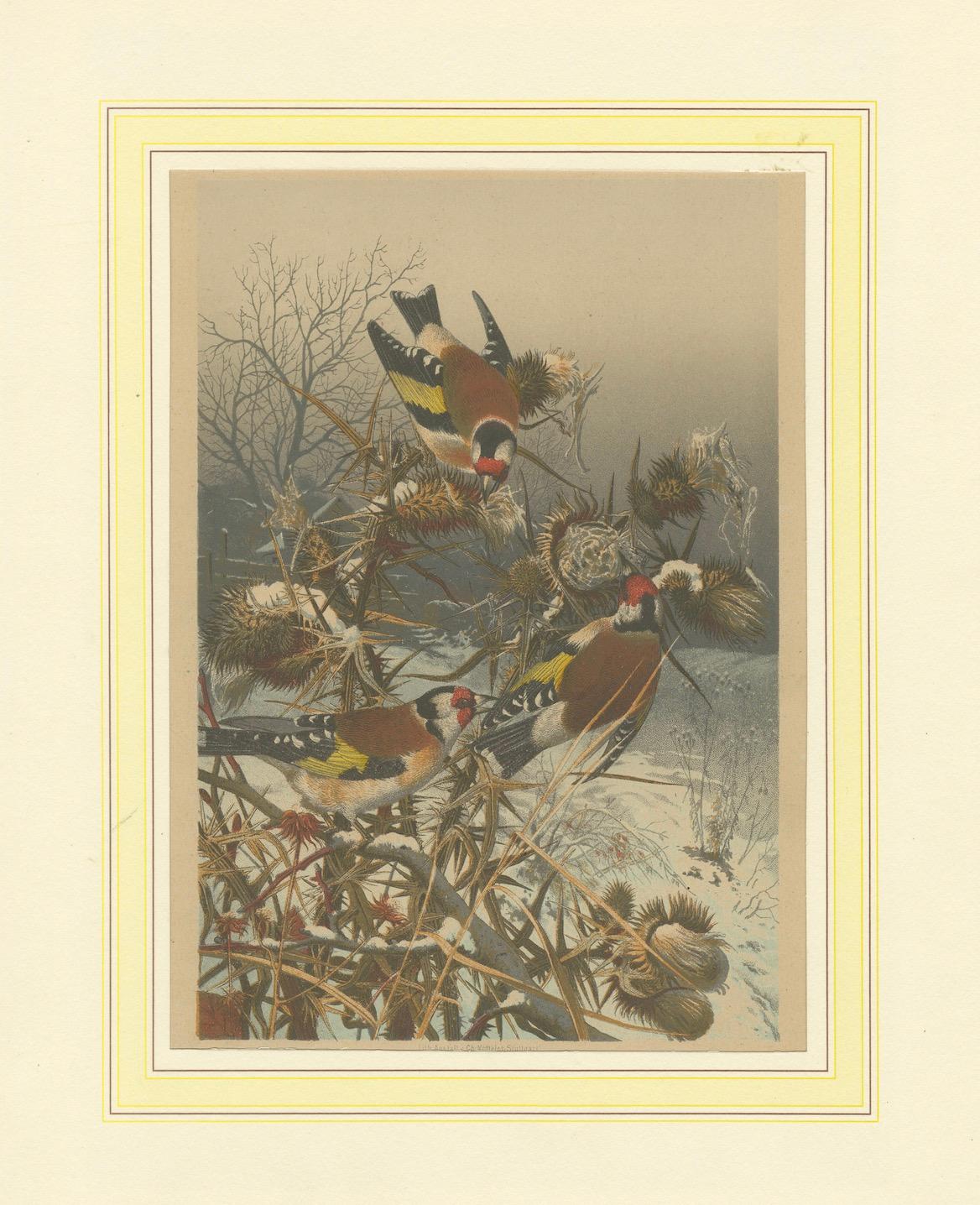 Finitions européennes en hiver : une lithographie de 1879 en vente 2