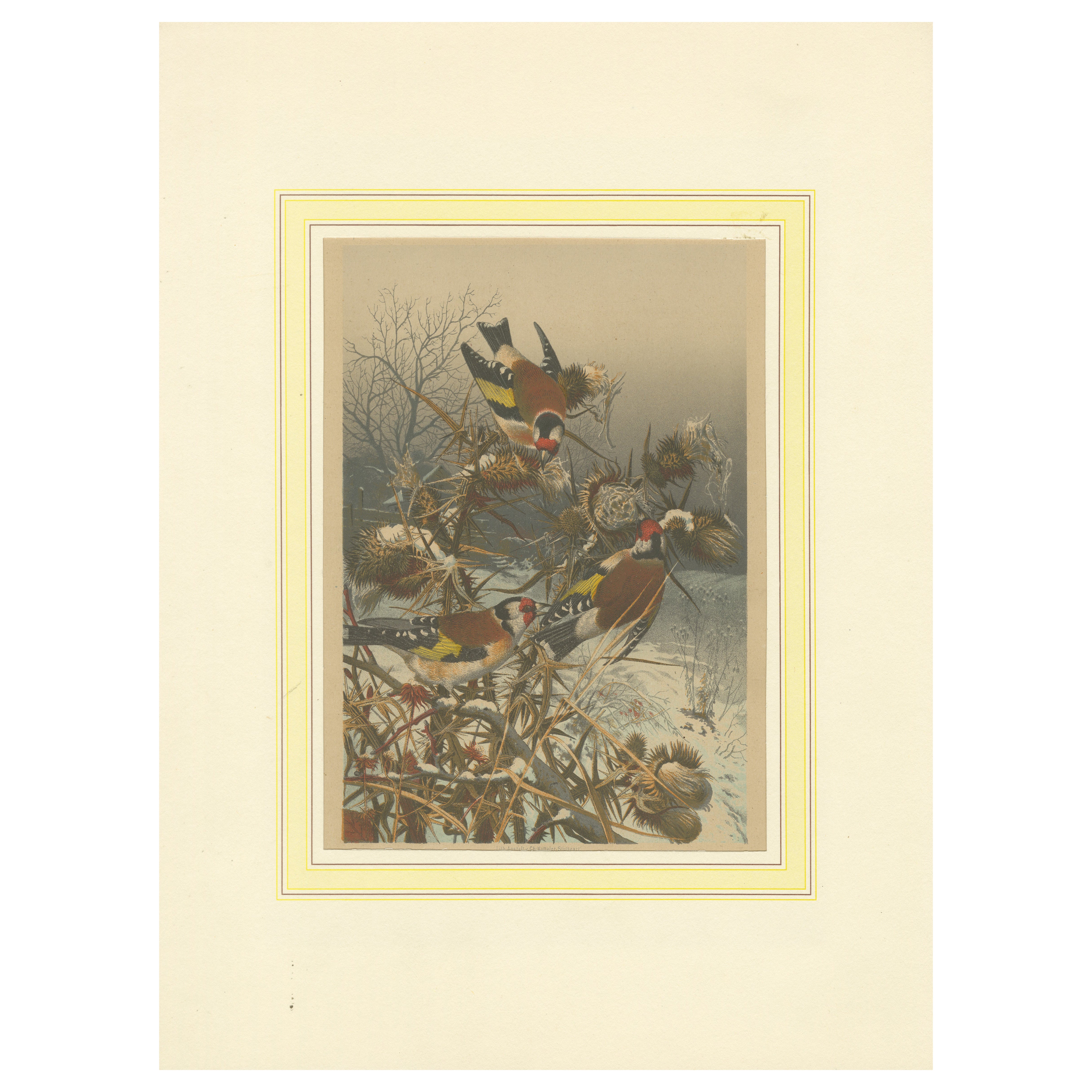 Finitions européennes en hiver : une lithographie de 1879 en vente