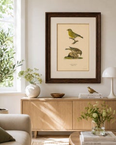 European Greenfinch Pair – Swedish Bird Lithograph, Male & Female, 1929