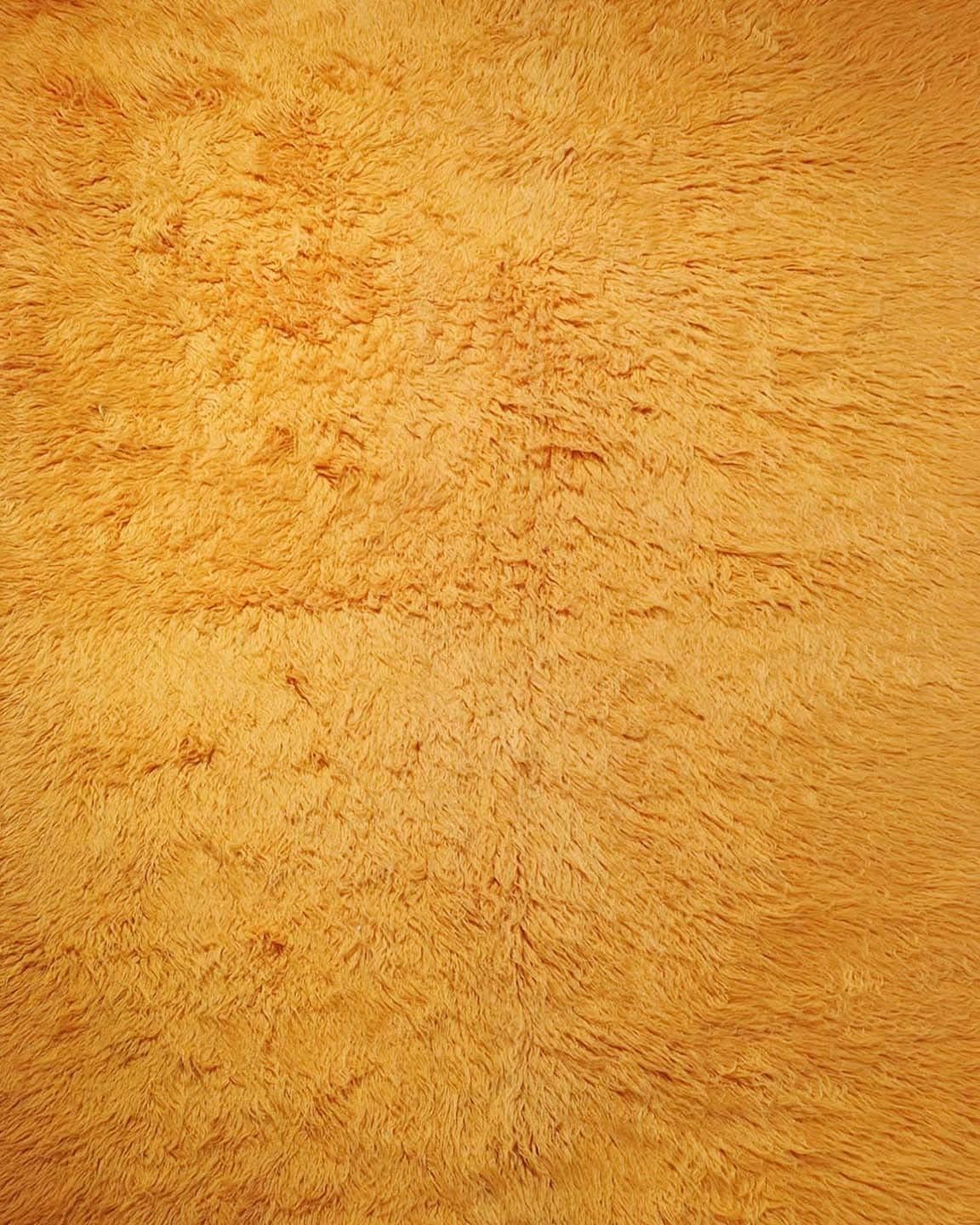 Hand Tufted Rug
Wool
L299 x W208 cm