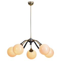 Used European Mid-Century Modern Brass Ceiling Lamp with Leaf Motif, Europe Ca 1950s