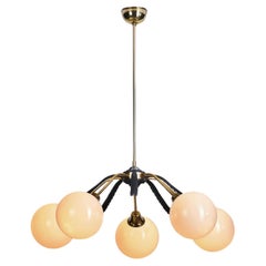 European Mid-Century Modern Brass Chandelier with Leaf Motif, Europe ca 1950s