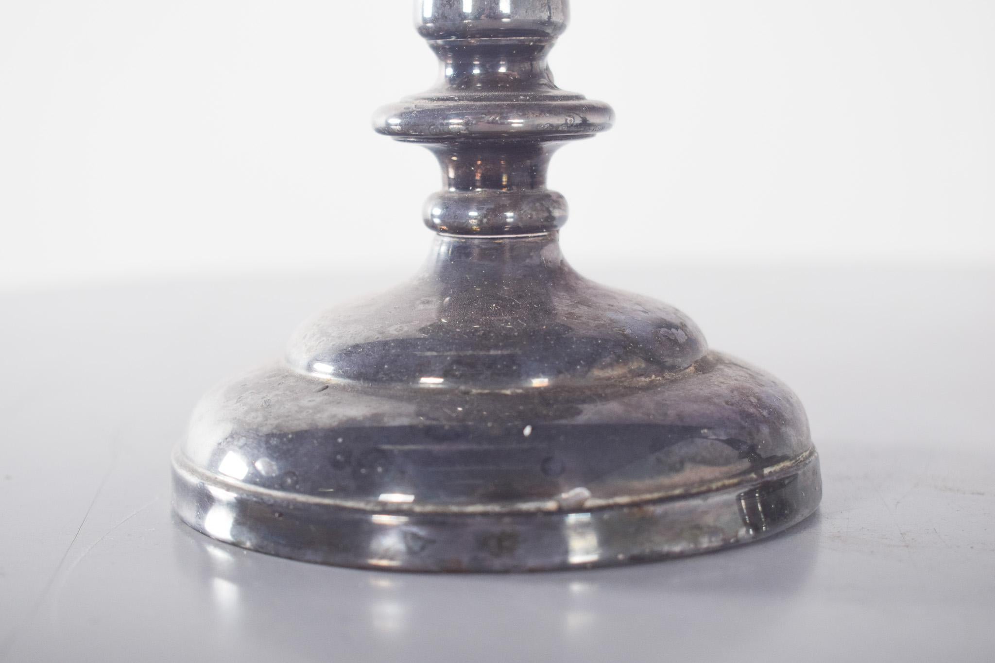 Portuguese European Pair of Shell Candlesticks For Sale