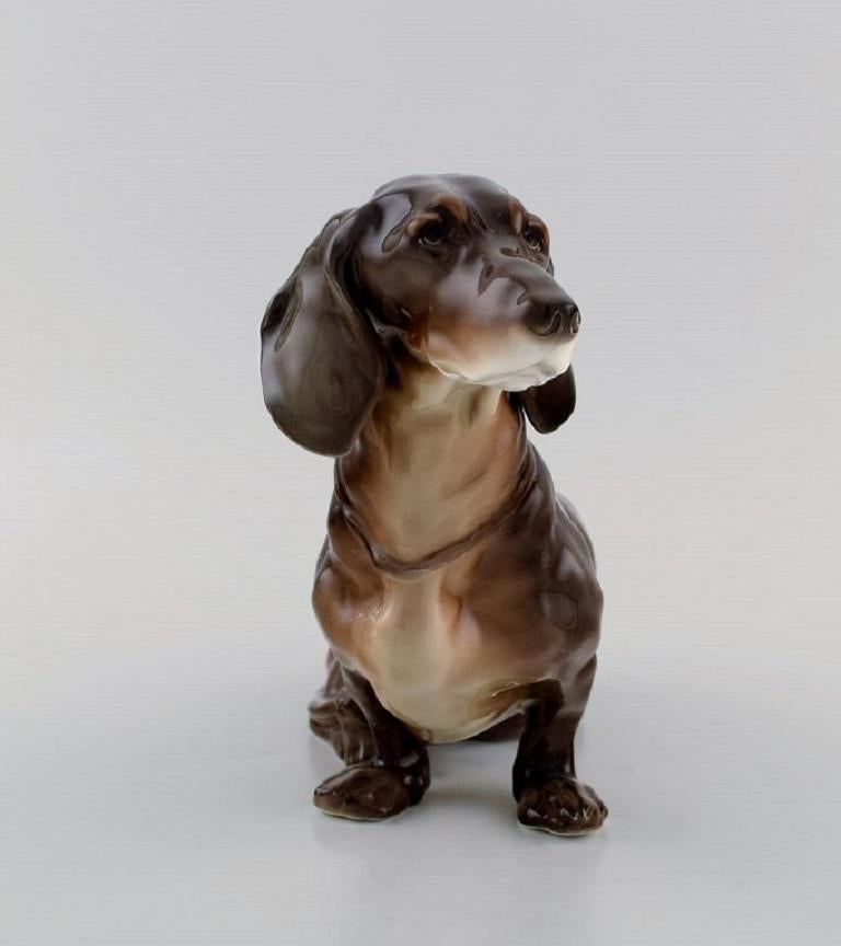 European porcelain maker. Porcelain figure. Seated dachshund. 1930s / 40s.
Measures: 23 x 17 cm.
In excellent condition.
Stamped.