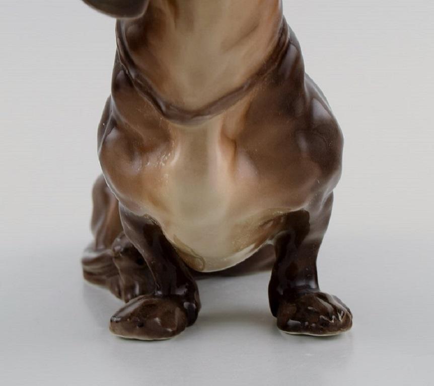 Hand-Painted European Porcelain Maker, Porcelain Figure, Seated Dachshund, 1930s / 40s For Sale