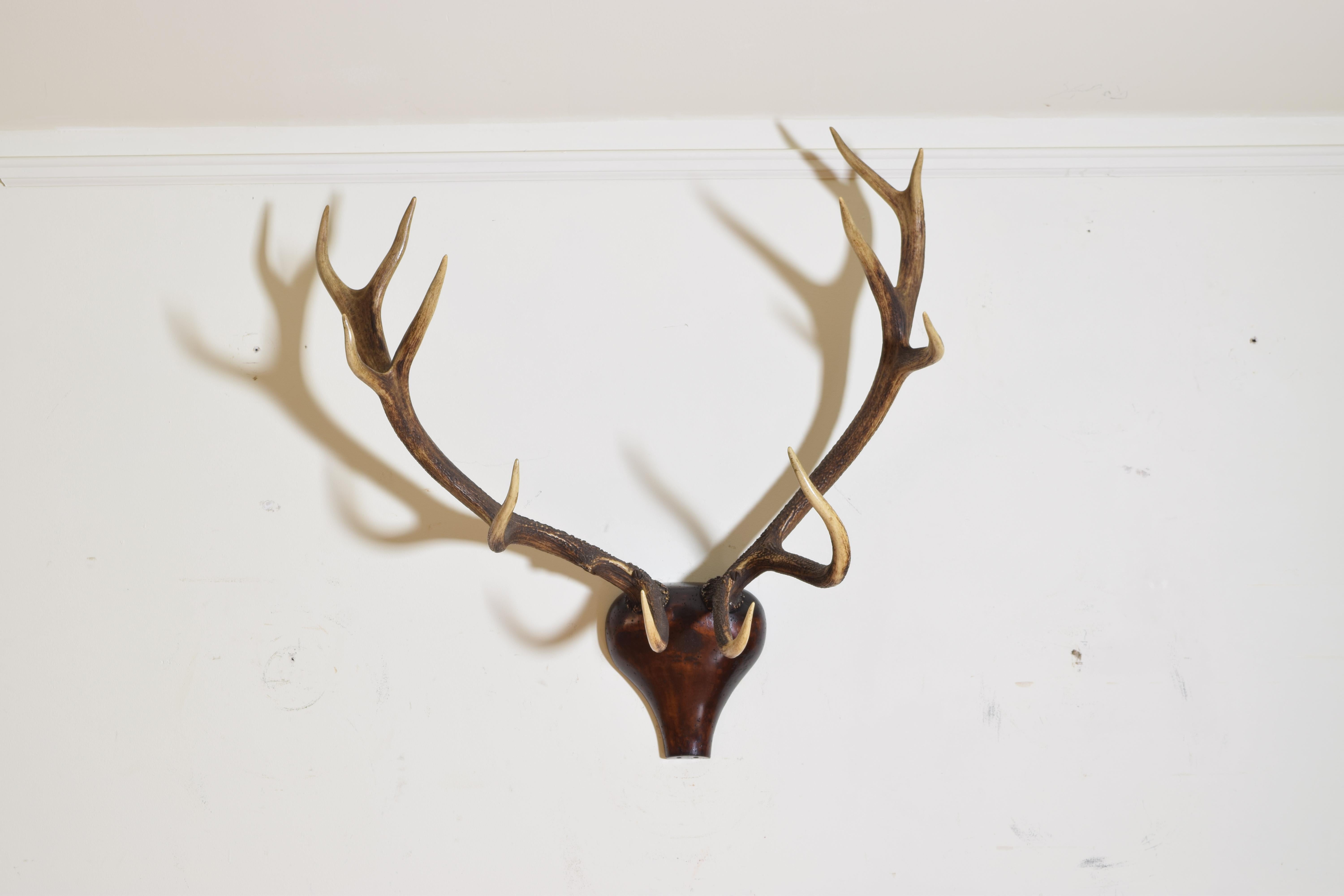 The antlers mounted on a handsome custom crafted walnut backplate, 19th-20th century.