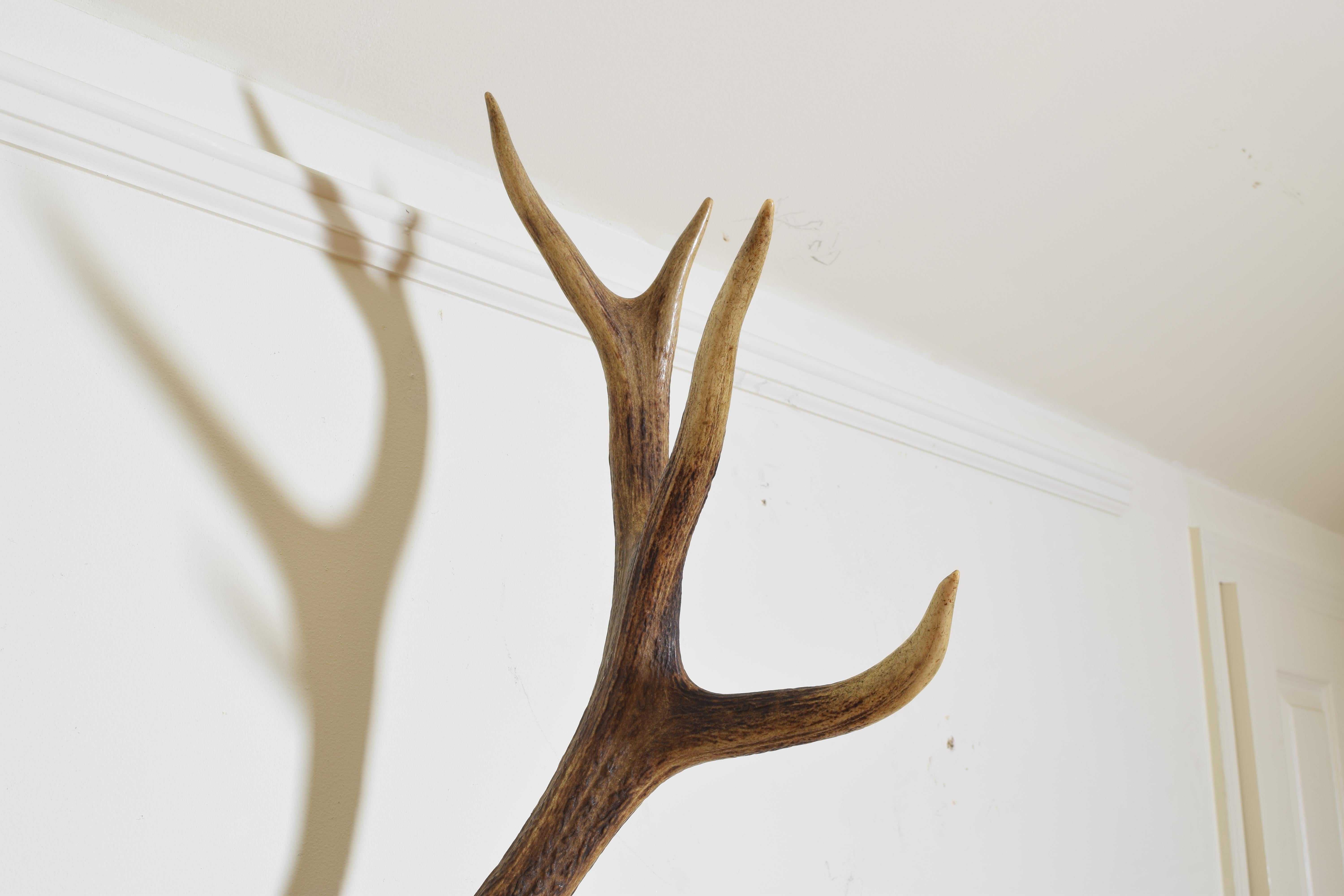 European Red Deer Antler Mount, Shaped and Carved Walnut Backplate In Good Condition In Atlanta, GA