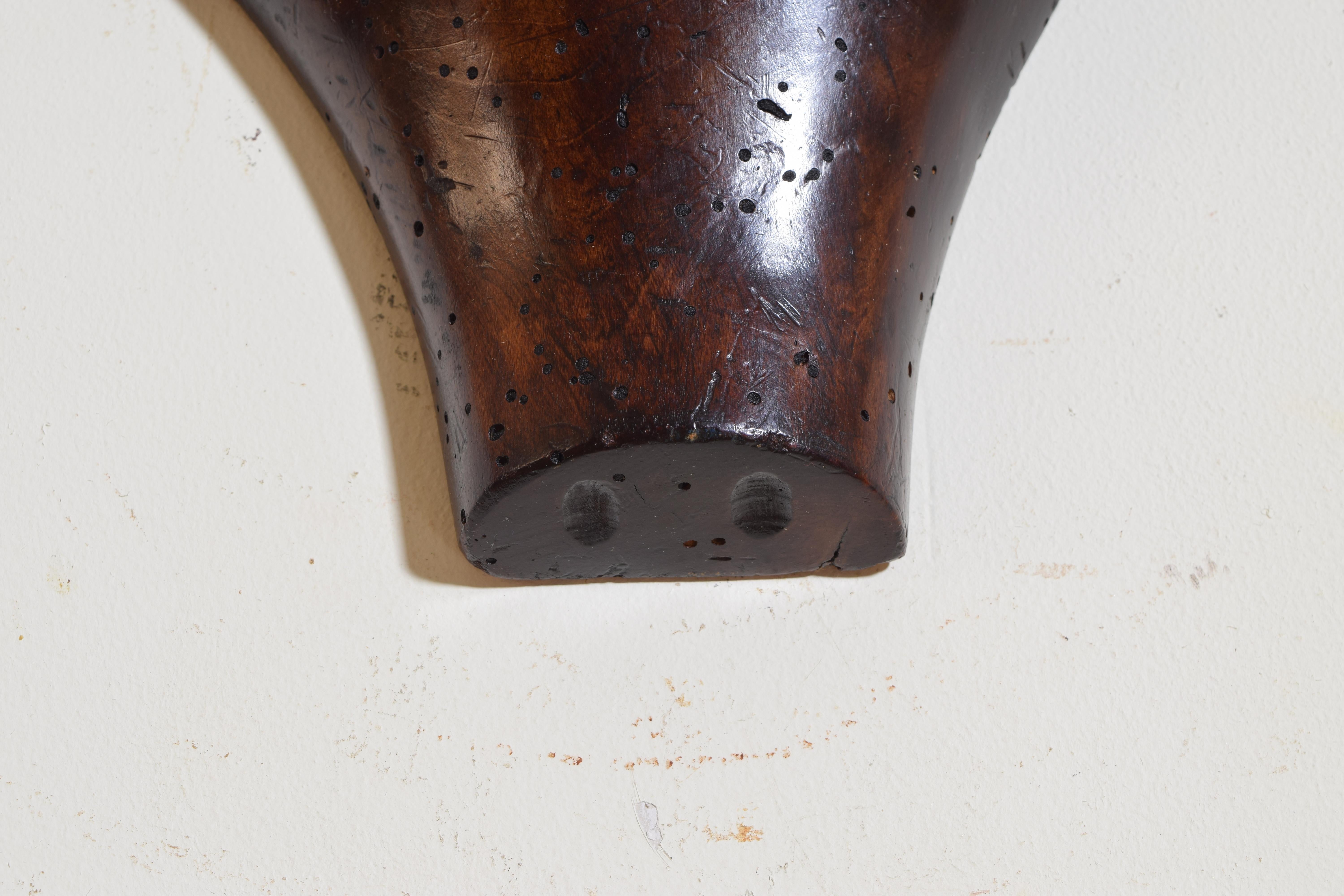 European Red Deer Antler Mount, Shaped and Carved Walnut Backplate 3