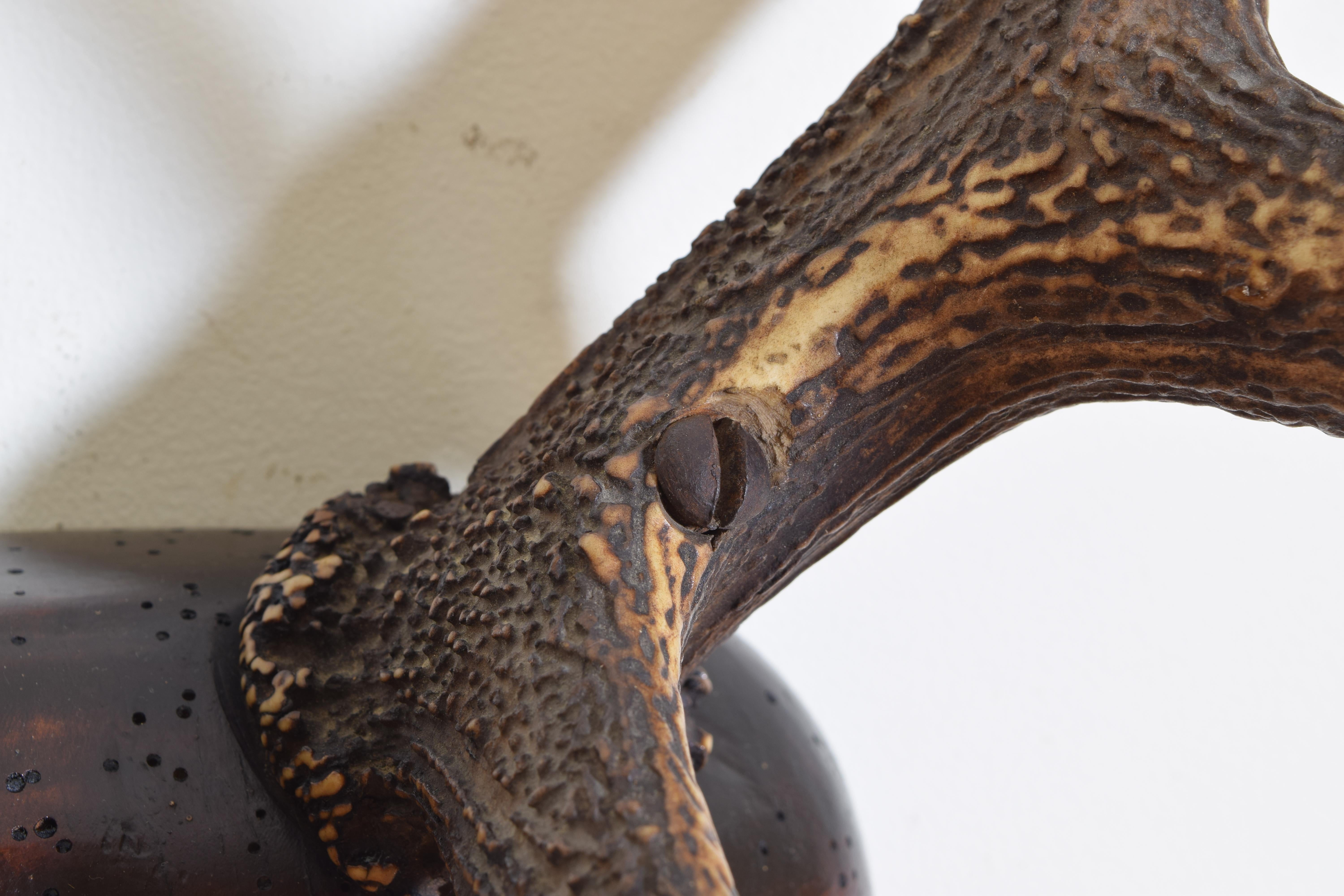 European Red Deer Antler Mount, Shaped and Carved Walnut Backplate 4