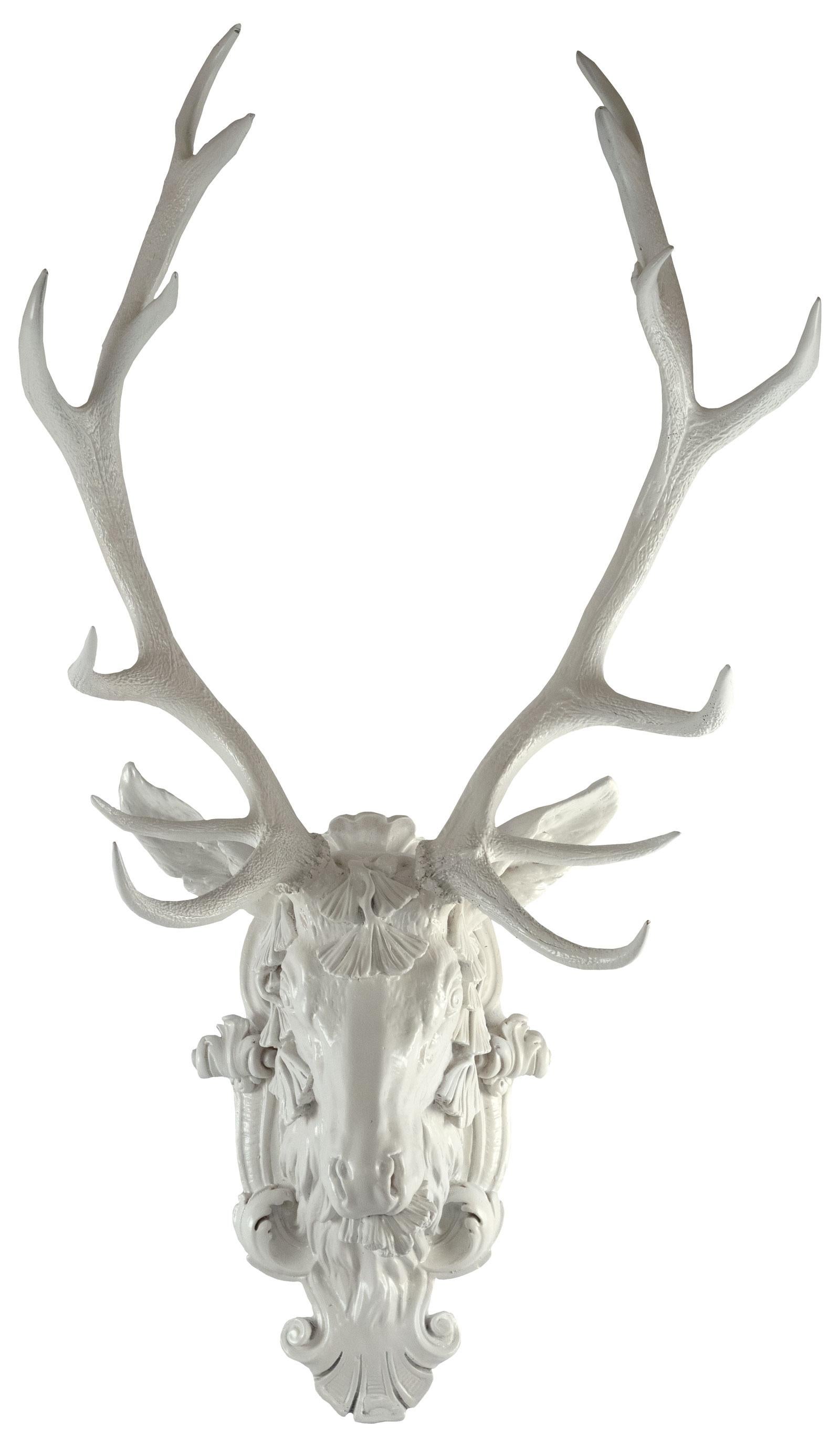 European Red Deer Stag Head In Excellent Condition For Sale In Salt Lake City, UT