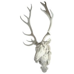 European Red Deer Stag Head