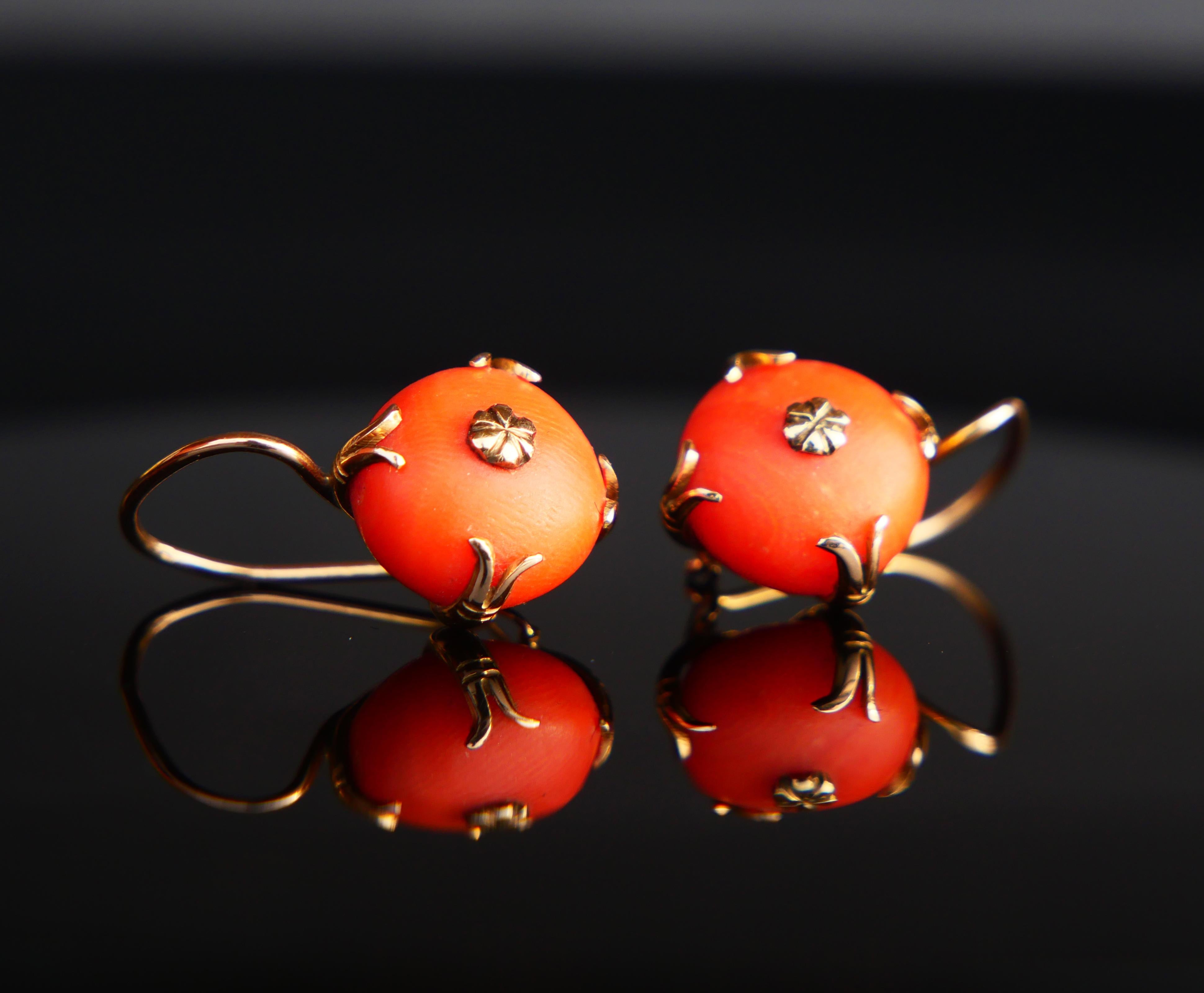 Art Nouveau European Round Dangle Earrings natural Red Coral solid 14K Rose Gold / 5 gr.