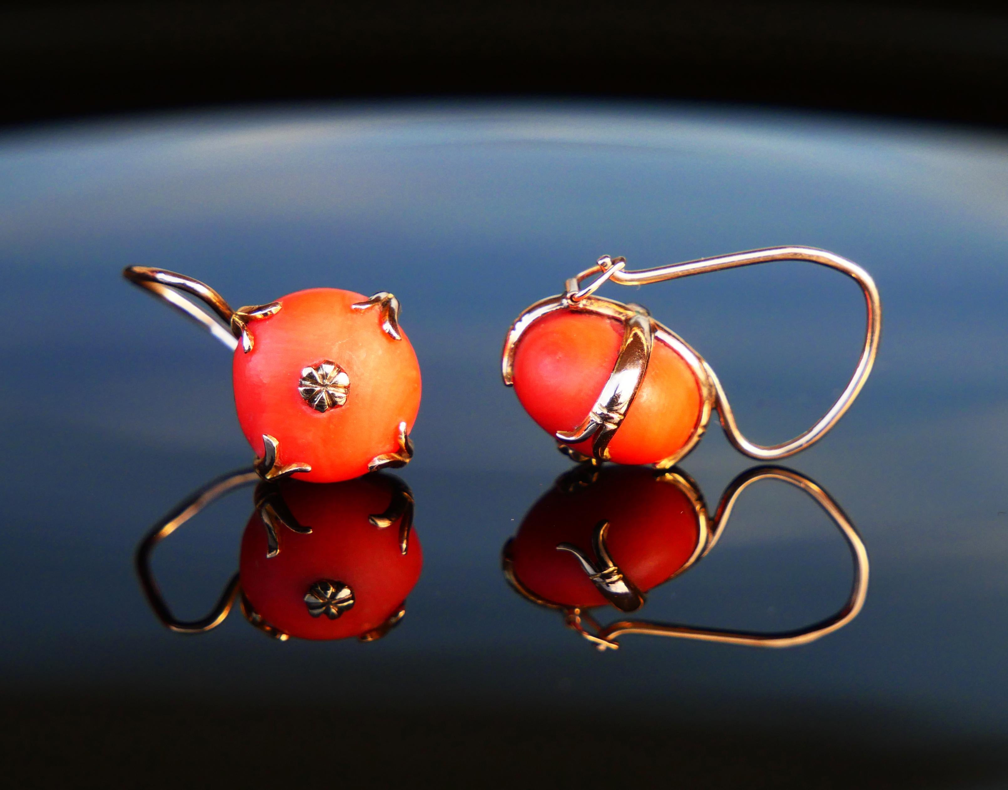 Cabochon European Round Dangle Earrings natural Red Coral solid 14K Rose Gold / 5 gr.