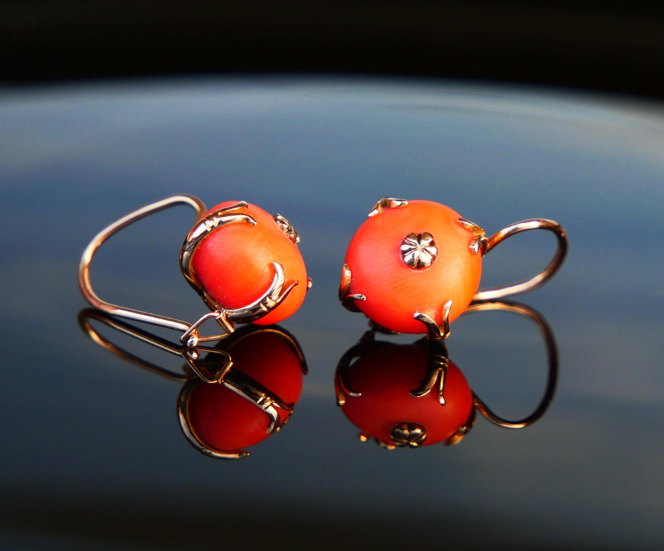 Women's European Round Dangle Earrings natural Red Coral solid 14K Rose Gold / 5 gr.