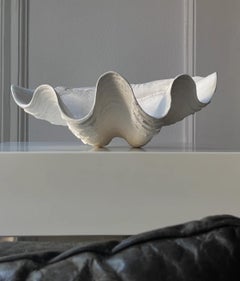 European Studio Hand-Cast Plaster Shell Objet d'Art