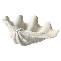 European Studio Hand-Cast Plaster Shell Objet d'Art