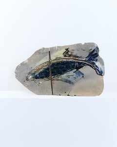 European Studio Pottery, Placa de pared Pez
