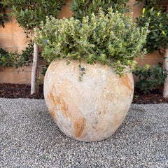 European Style Olive Pot in the Biot Jarre Style