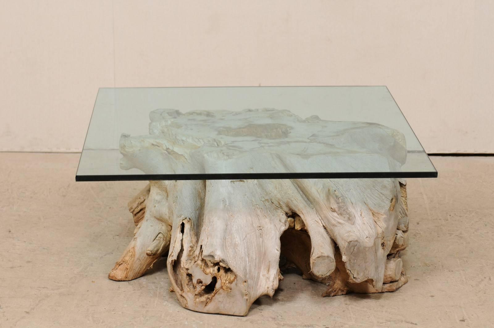 A European wooden tree root coffee table with glass top. This natural wood coffee table has been fashioned with the use of a 19th century European tree root/stump as it's base, and the addition of a newer, square-shaped glass top. The wood has a