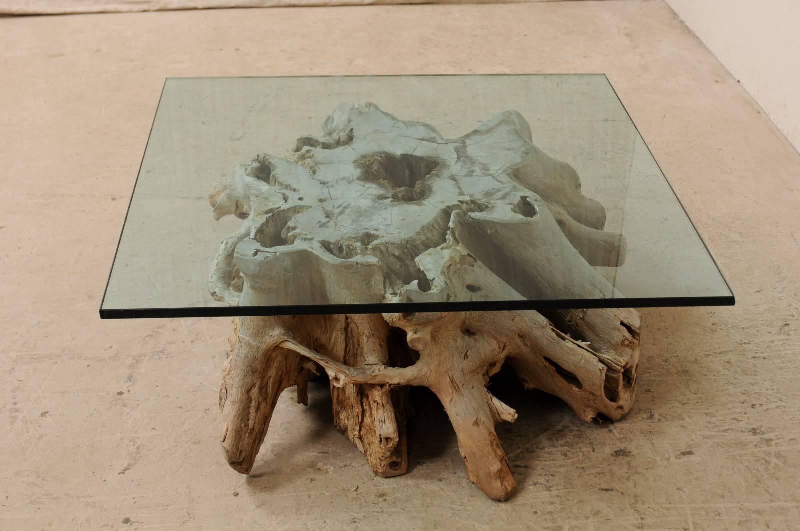 19th C. European Natural Wood Tree Stump Base with Glass Top Coffee Table en venta 1