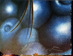 berries, von Eva Bostrom
