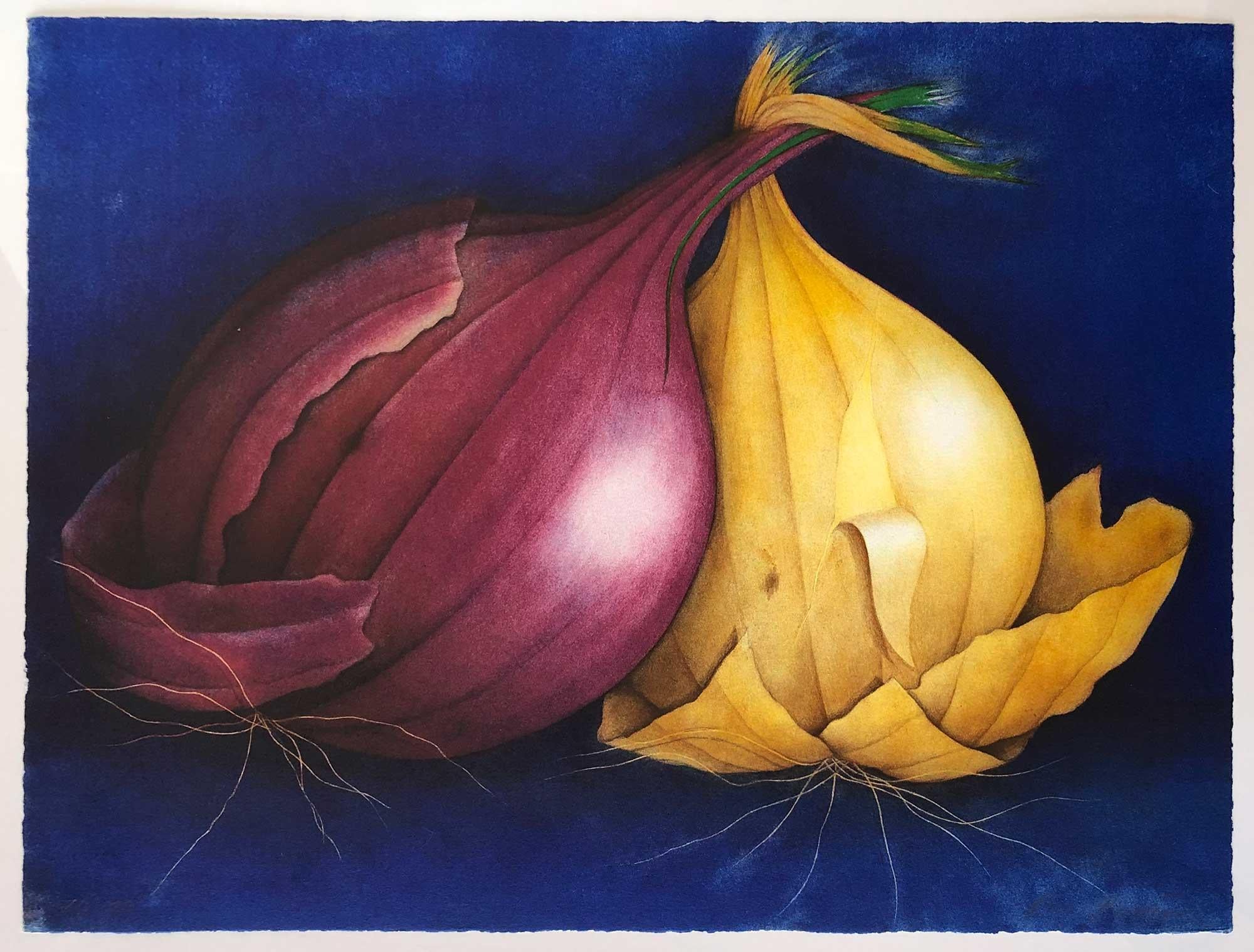 Eva Bostrom Still-Life Print - Onions