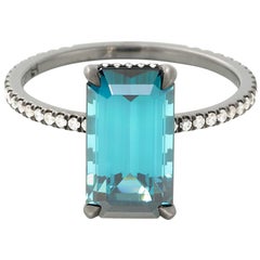 Eva Fehren 4.25 Carat Indicolite Ring in 18 Karat Blackened White Gold