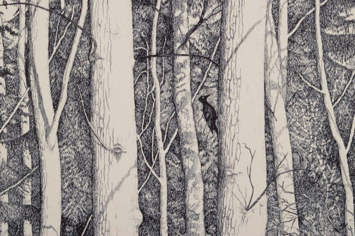 Paper Eva Holmén-Edling, Swedish artist. Woodcut on Japan paper. Forest scene. For Sale