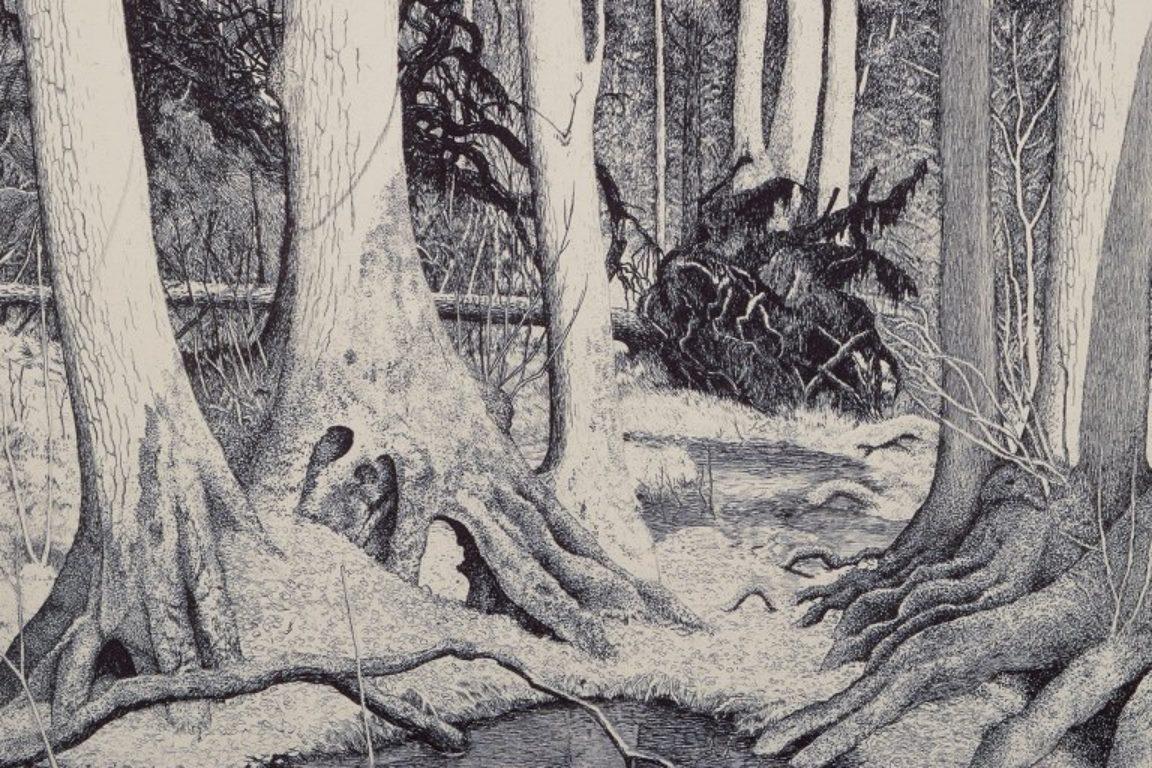 Eva Holmén-Edling, Swedish artist. Woodcut on Japan paper. Forest scene. For Sale 1