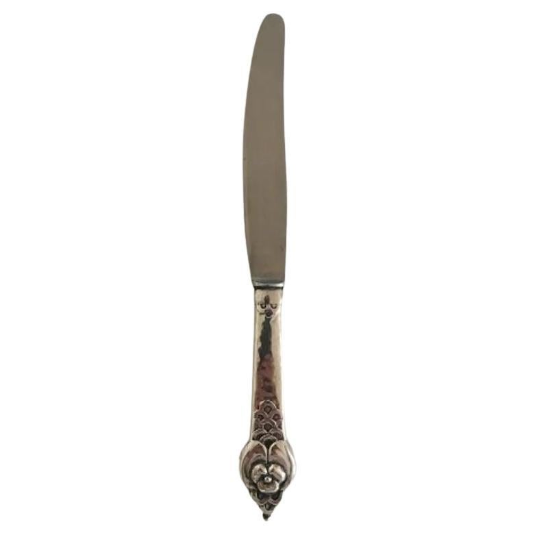 Evald Nielsen No. 2 Dinner Knife in Silver For Sale