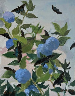 Hidrandgeas y Colas de Golondrina