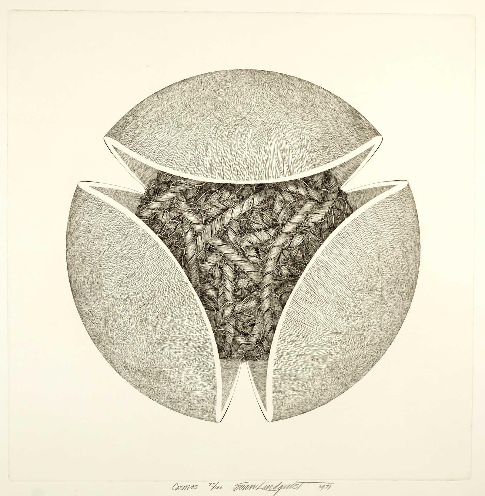 Cosmos - Abstract Print by Evan Lindquist
