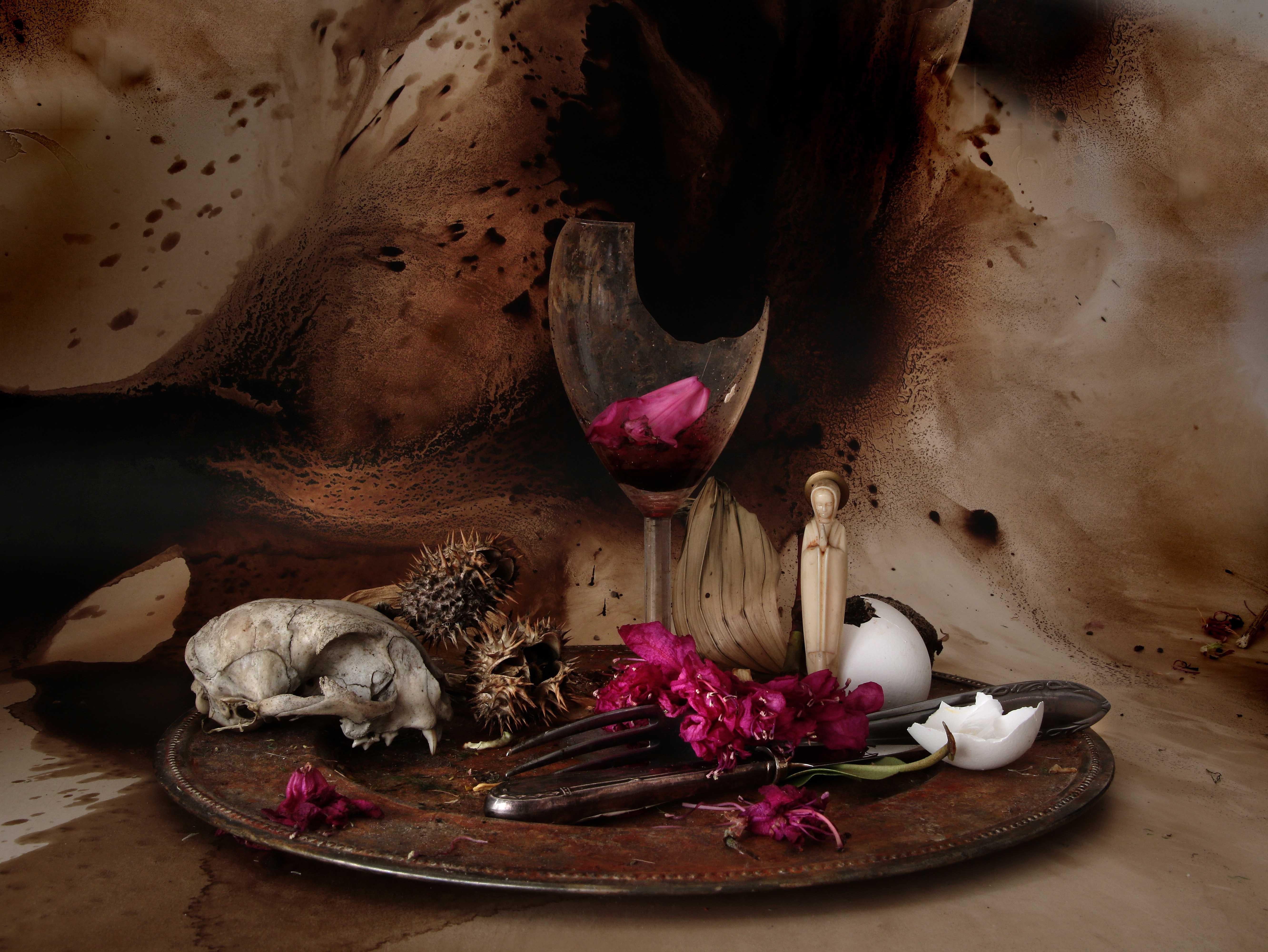 Aus der Serie "Natura Morte" Stillleben
Das fotografische Bild der verwelkten Blumen, der verfaulten Früchte, der Tierknochen und der zerbrochenen Gläser scheint die Objekte zu konservieren, sie am Leben zu erhalten und sie so über den Tod hinaus zu