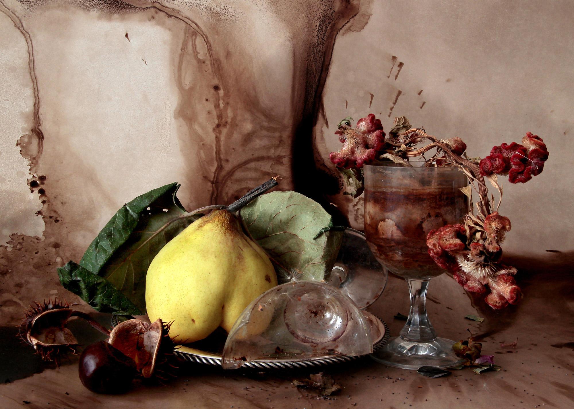 From the series "Natura Morte" still life
The photographic image of the withered flowers, rotten fruit, animal bones and broken glasses seems to preserve the objects, keep them alive and thus point them beyond death.