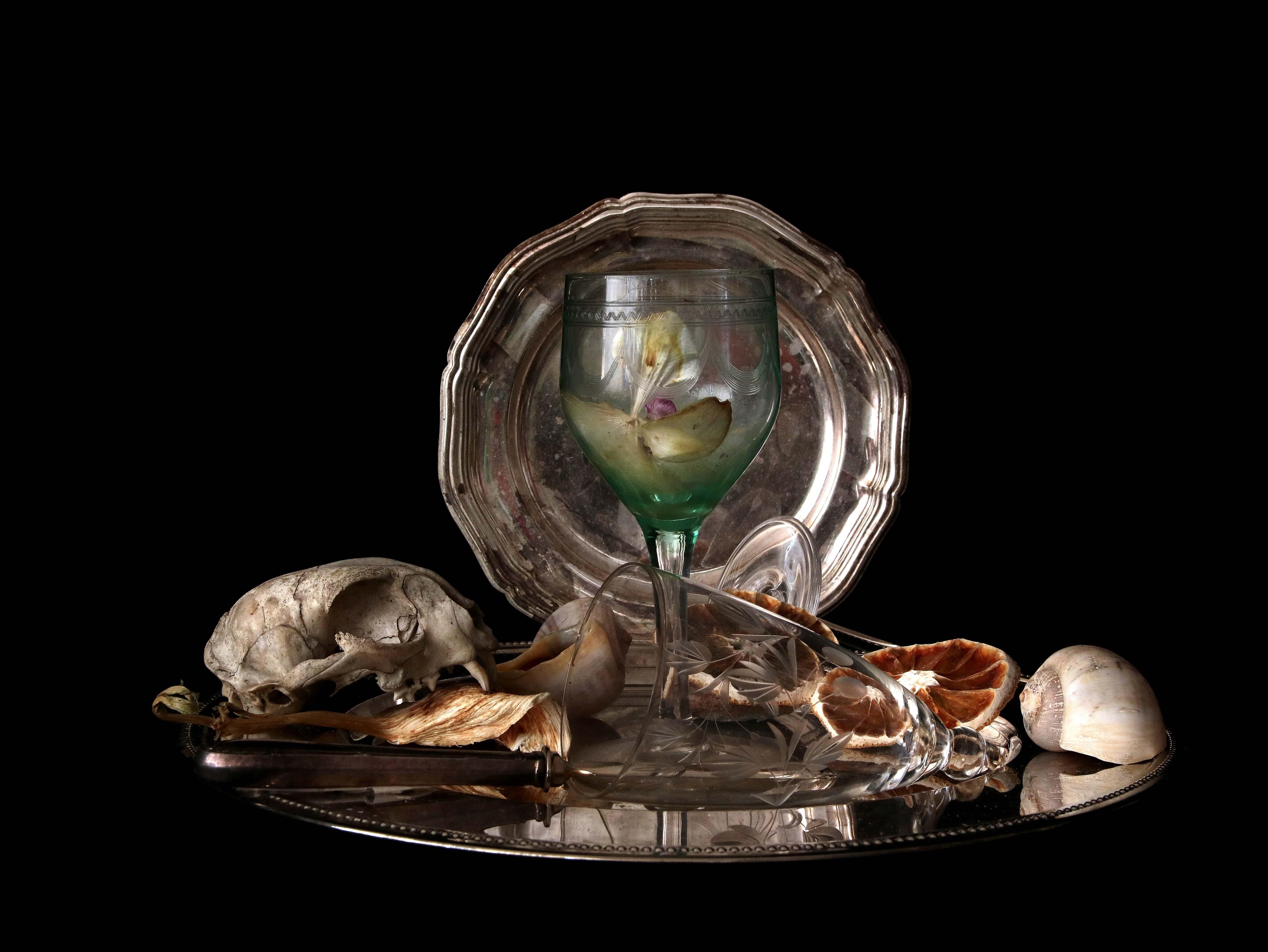 From the series "Natura Morte" still life
The photographic image of the withered flowers, rotten fruit, animal bones and broken glasses seems to preserve the objects, keep them alive and thus point them beyond death