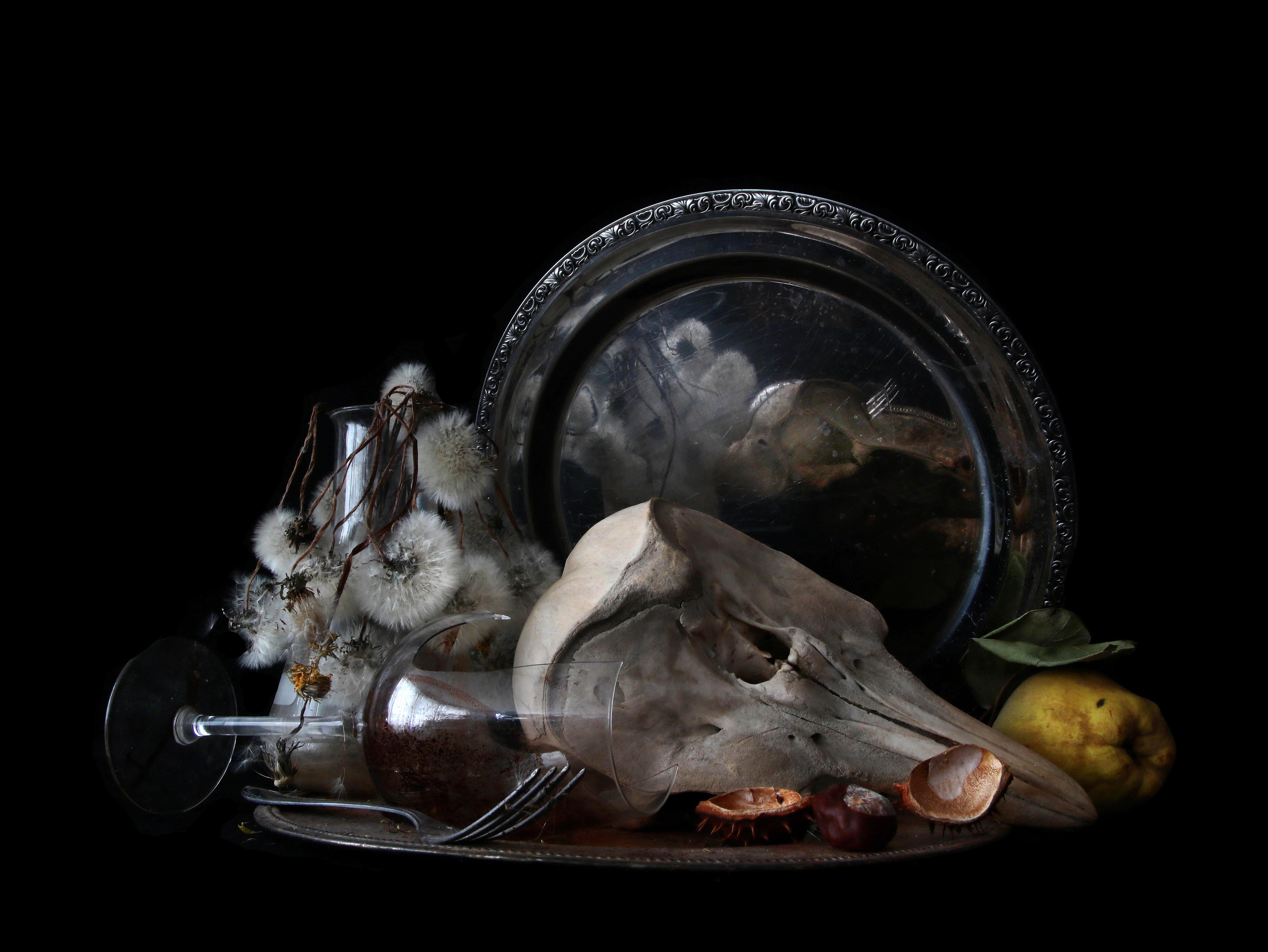 Aus der Serie "Natura Morte" Stillleben:
Das fotografische Bild der verwelkten Blumen, der verfaulten Früchte, der Tierknochen und der zerbrochenen Gläser scheint die Objekte zu konservieren, sie lebendig zu halten und sie so über den Tod hinaus zu